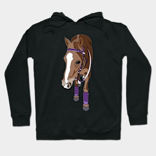 Pony - Horse Hoodie